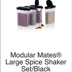 New Tupperware Large Spice Shaker Set